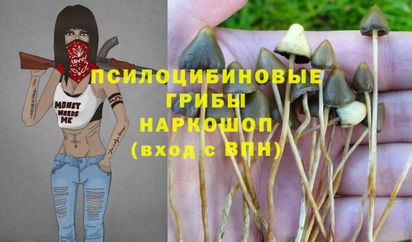 apvp Абаза