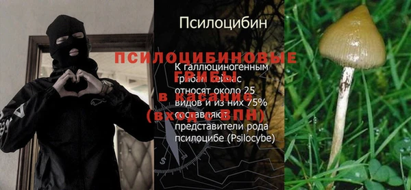 эйфоретик Краснослободск