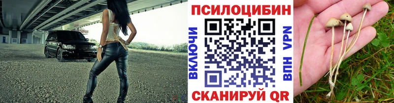 Галлюциногенные грибы MAGIC MUSHROOMS  как найти наркотики  мориарти состав  Таганрог 